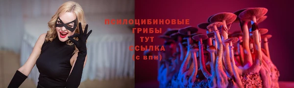 дистиллят марихуана Медногорск