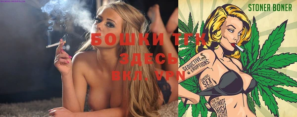 шишки Михайлов