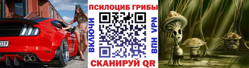 kraken зеркало  Олонец  Галлюциногенные грибы мухоморы 