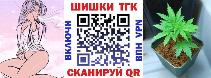 что такое наркотик  Олонец  Каннабис SATIVA & INDICA 
